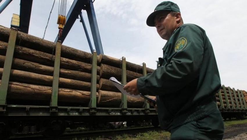 Экспорт леса в Китай