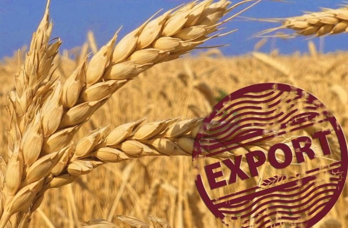 Экспорт зерновых культур из РФ в Китай